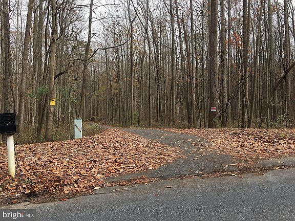 5th image of 12809 Sagamore Forest Ln