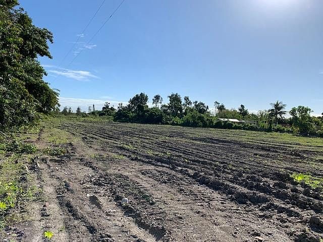 2nd image of NW 159 ST 159 St 119 Avenue