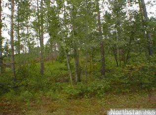 LOT 12 Blk 1 Riverwood Shrs LOT 12, Pillager, MN 56473