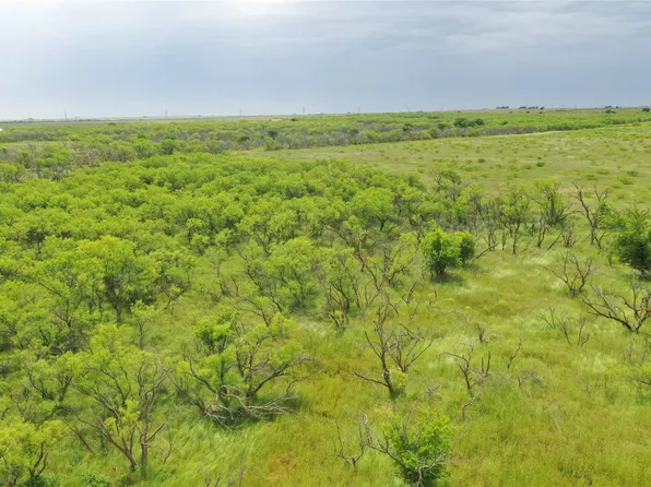 Fm 2321 #2, Bellevue, TX 76228