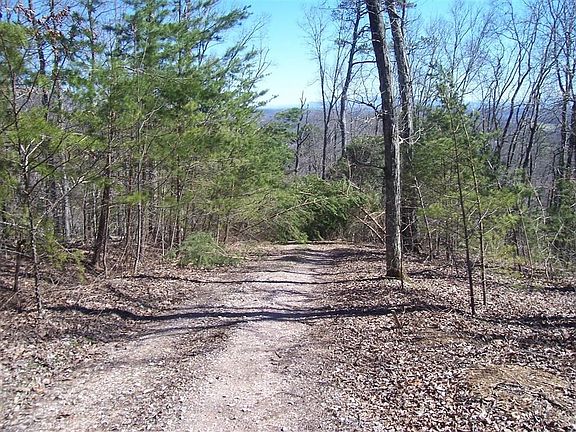 3rd image of 3738 Bobbie Jean Ln Lot 37&38