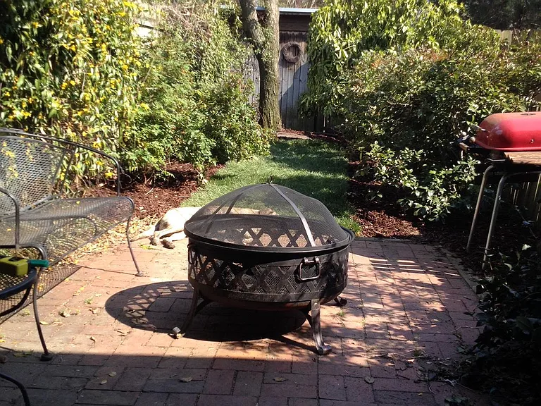 backyard - renters responsibility to maintain