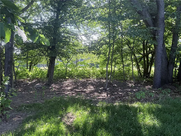 11 Harrington Dr — Photo 31