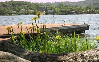 Dock and lakeview