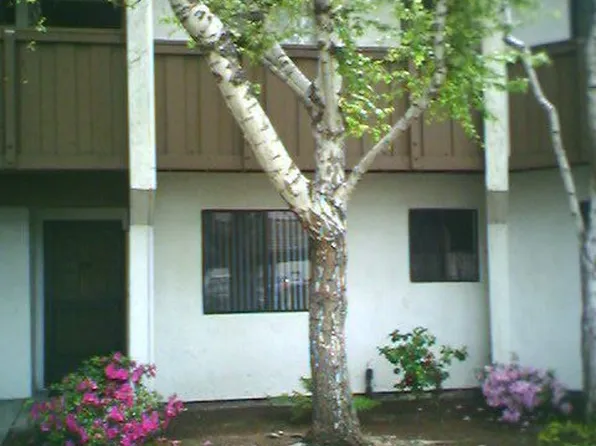 2201 Monroe St APT 1603, Santa Clara, CA 95050
