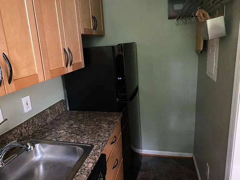 Kitchen & fridge
