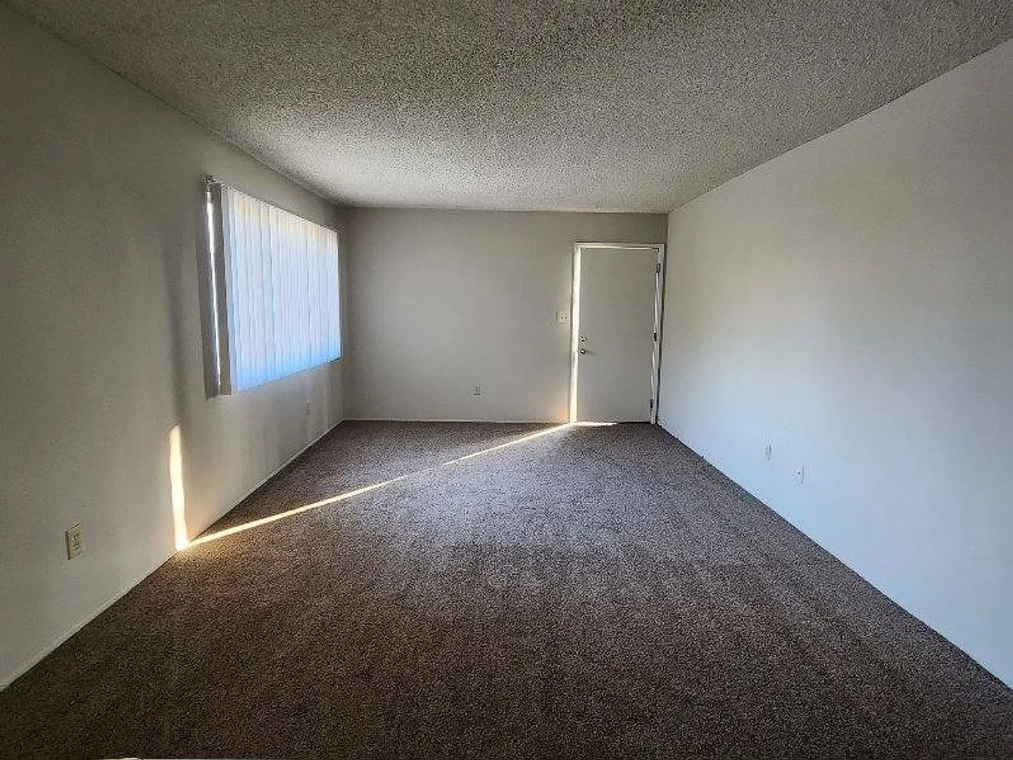 3609 Micheli Ct. #C -Apartment — Photo 4