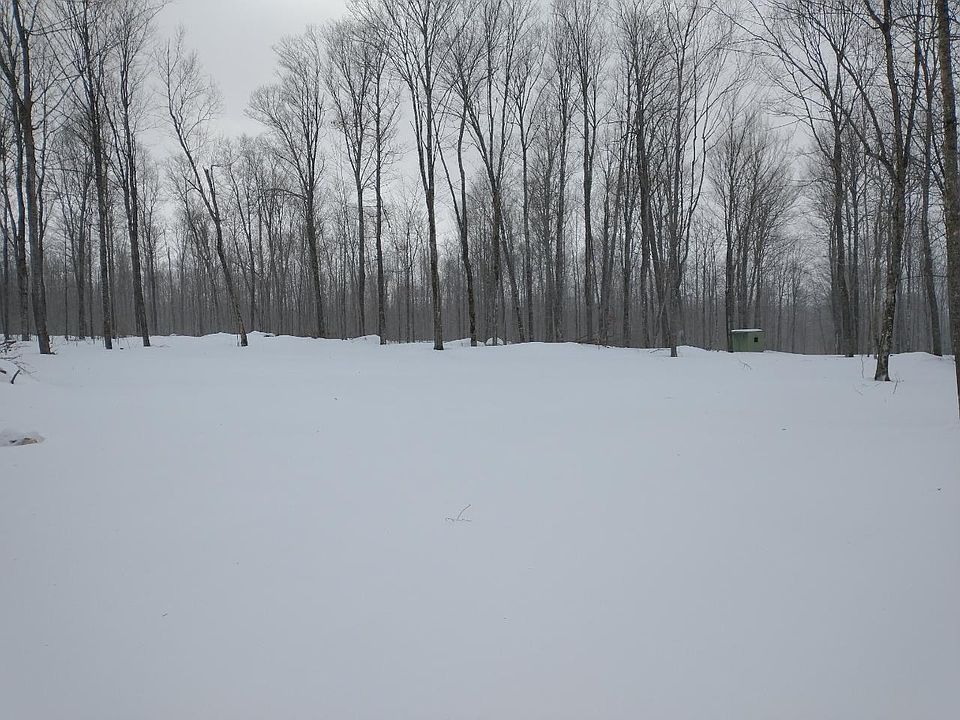 2nd image of On Elmwood Rd