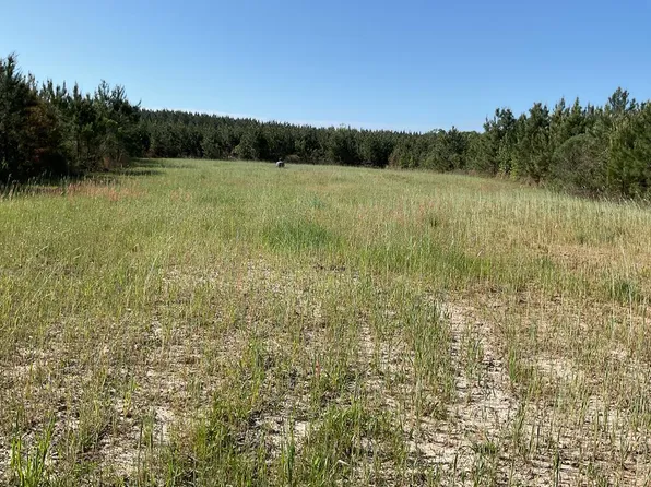 1500 Blackmon Rd, Brantley, AL 36009