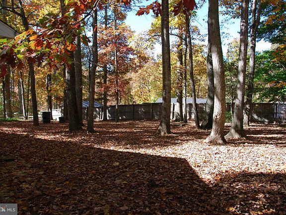 4th image of 11543 Buckskin Ct