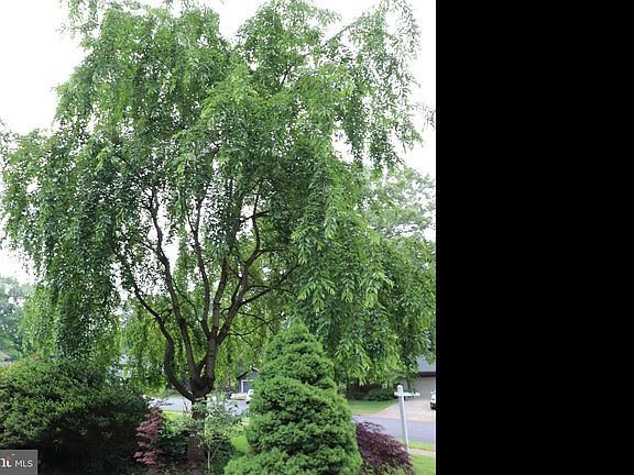 3rd image of 5342 Cristfield Ct
