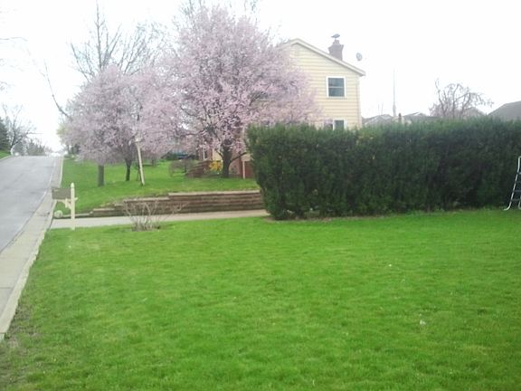 2nd image of 70 Parkway Dr