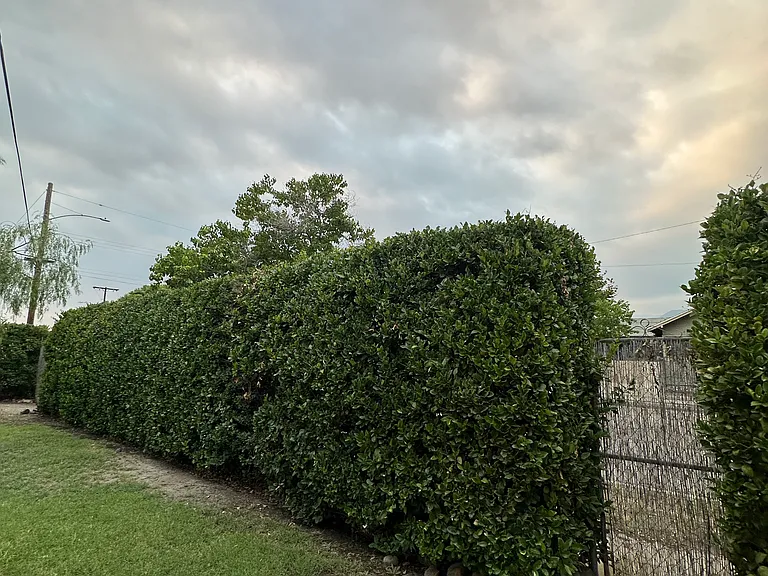 347 N Barbara Ave — Photo 7