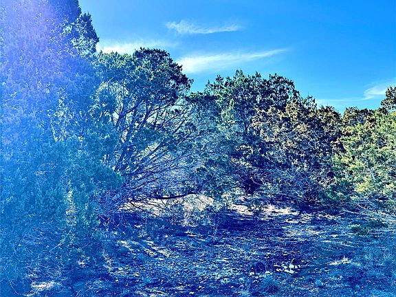 4th image of TRACT 91 Citadel Dr