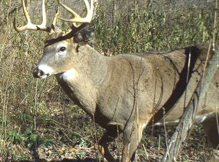 20 Acres Grant Rd, Algoma, WI 54201