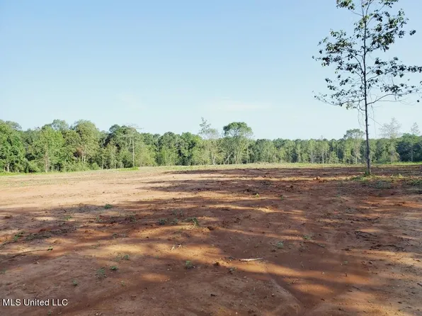 No Sw Auburn Dr, Bogue Chitto, MS 39629