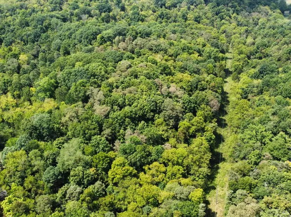 1200 Gaines Rd, Stamping Ground, KY 40379