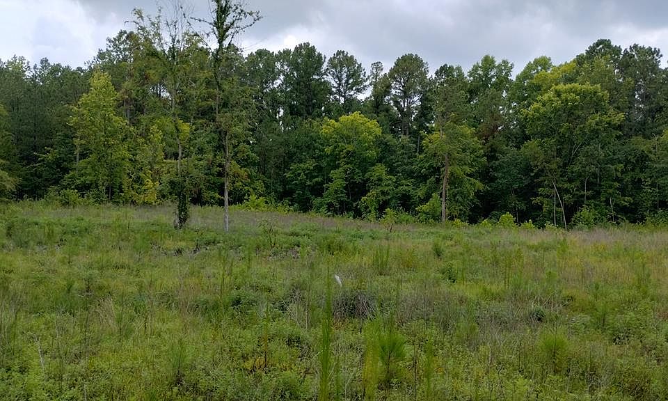 1st image of TRACT 10 Ledford Rd NE