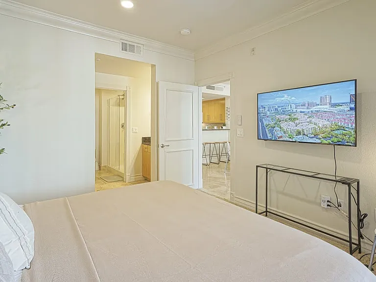 260 E Flamingo Rd #205 — Photo 30