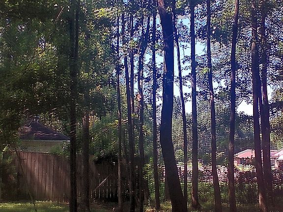 Spacious yard with plenty of shade to enjoy.