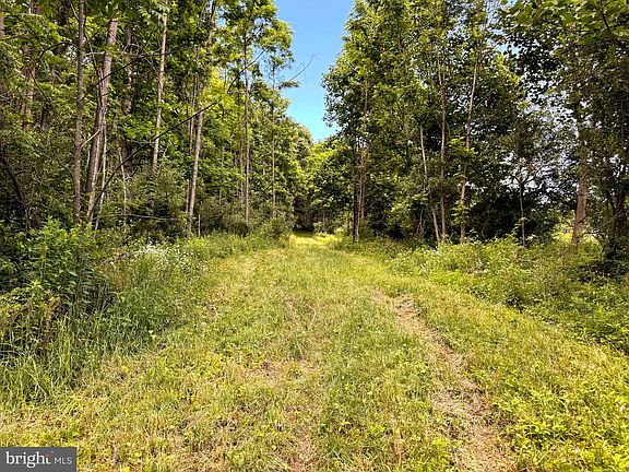 3rd image of 281 Whetstone Run