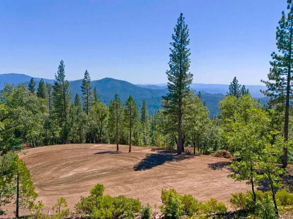 24229 Mount Elizabeth Rd, Twain Harte, CA 95383