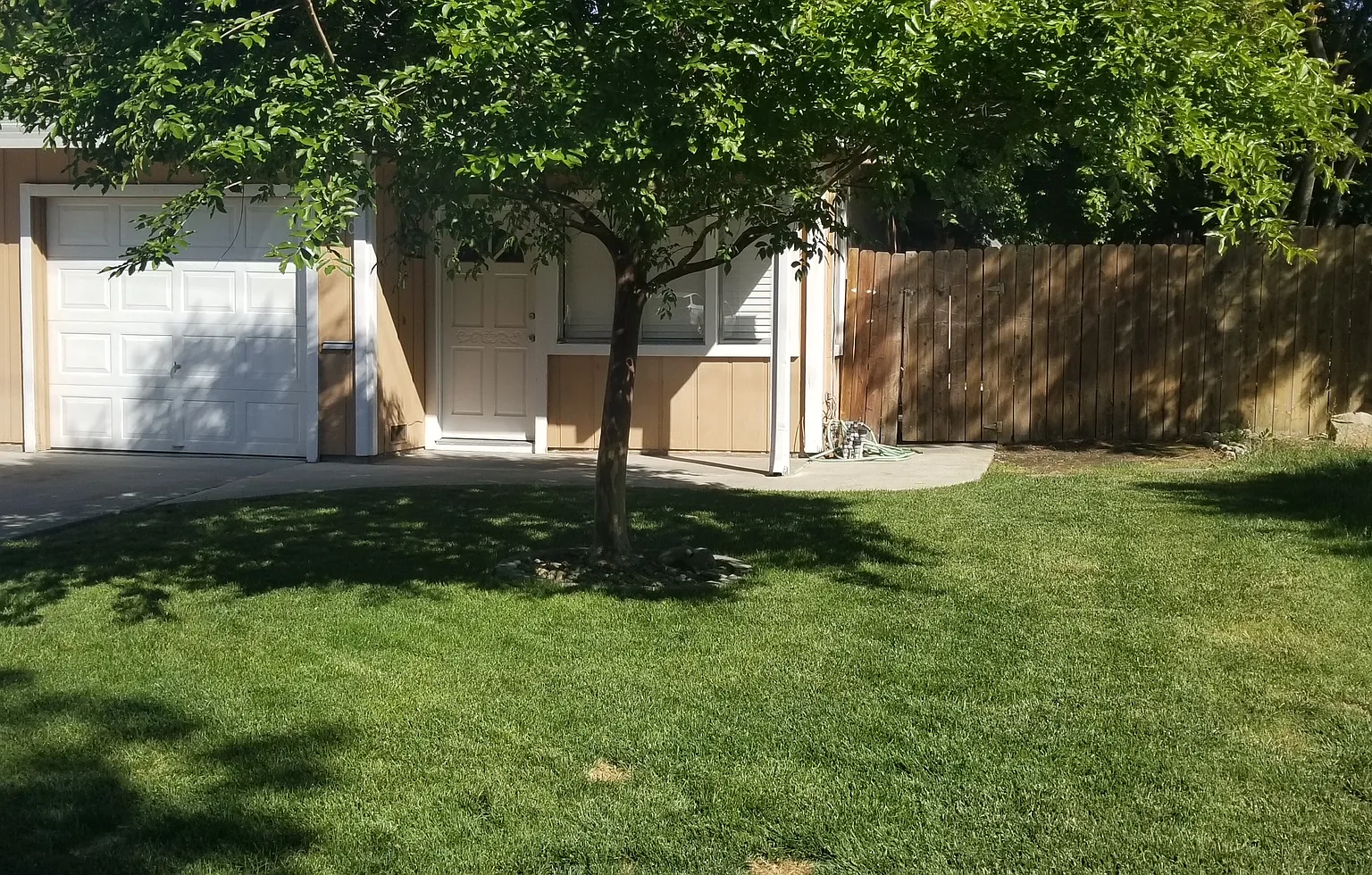 2 bed, 924 sqft, $2,200 — Photo 2