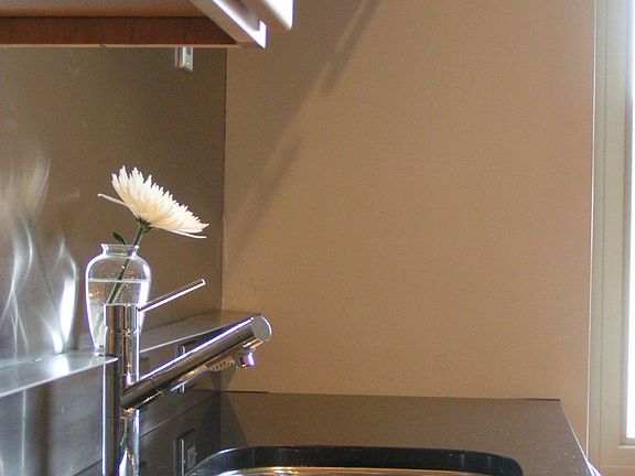 Granite Counter & Stainless backsplash and shelf detail