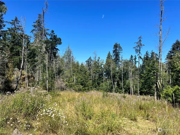 99 Highland Drive, Friday Harbor, WA 98250