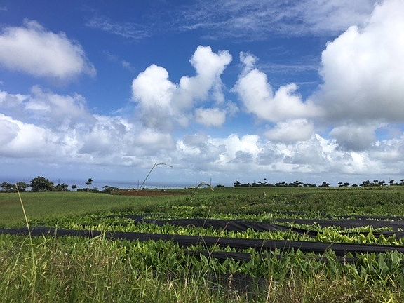 3rd image of Onohi Loop Lot 24-B