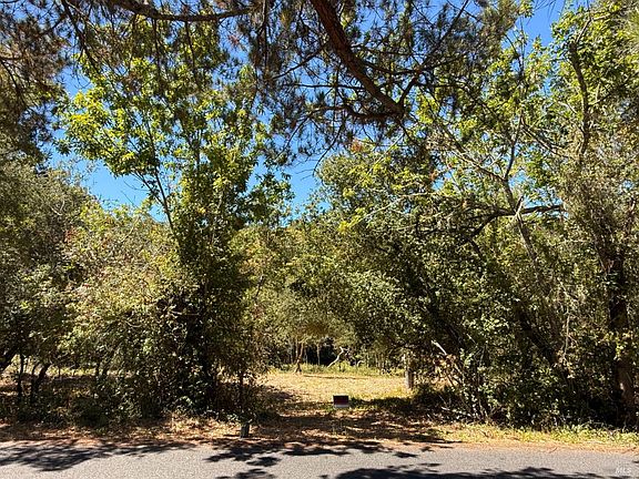 5th image of 4569 Sonoma Mountain Road