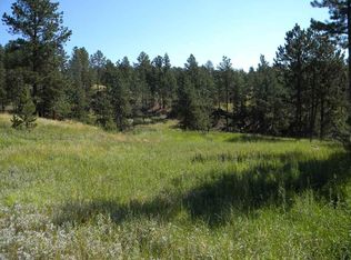 25165 Renegade Pass, Custer, SD 57730