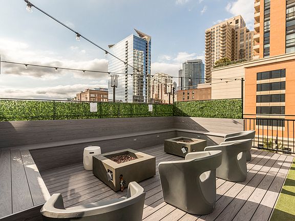 Roof Deck with fire pits, BBQ and Dog Run