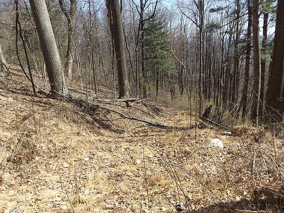 5th image of Mountaineer Way