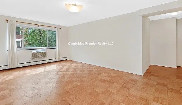 3 bed, 980 sqft, $5,000 — Photo 2