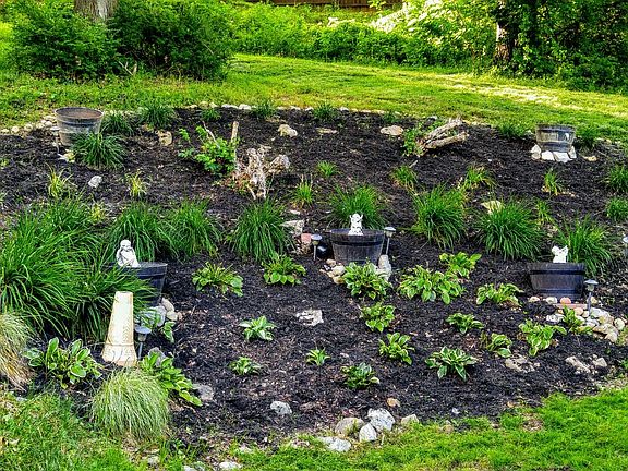 backyard garden
