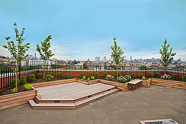 Rented by Bold New York