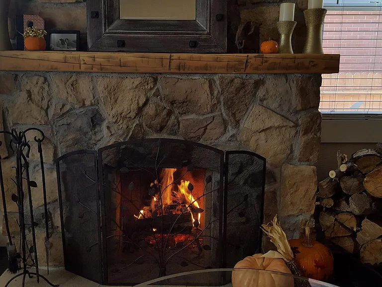 Wood burning fireplace.
