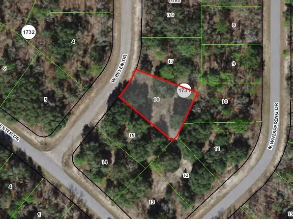 1419 W Belen Dr, Citrus Springs, FL 34434
