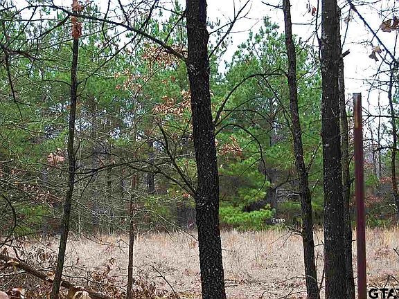 2nd image of Tbd Cr 1342 Lot 8