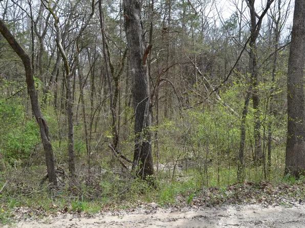 Lot 26 Poplar Road, Merriam Woods, MO 65740