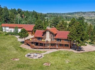 733 Spring Creek Ranch Rd, Silverthorne, CO 80498