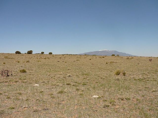 2nd image of LOT 36 Rio Cucharas Lot 36