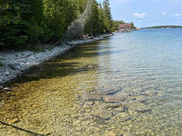 0 S Coryell Is, Cedarville, MI 49719