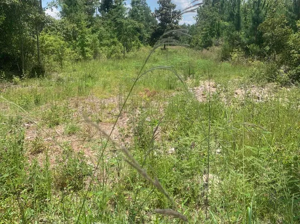 12416 Owenwood Rd, Fountain, FL 32438