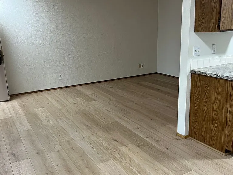 Viking Suites — Photo 6