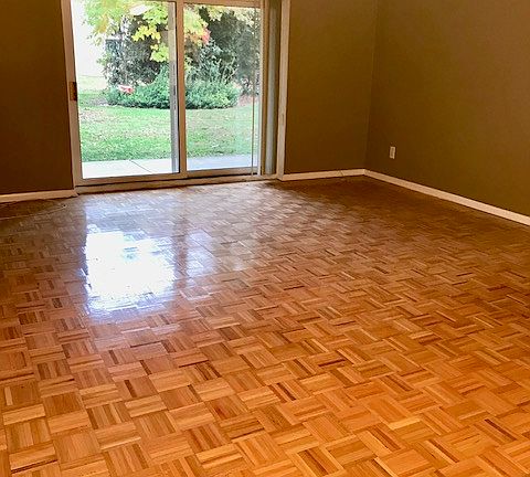 Living room with garden view