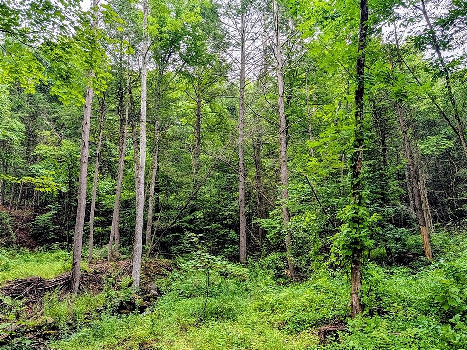 2nd image of 18 Pond Brook Rd