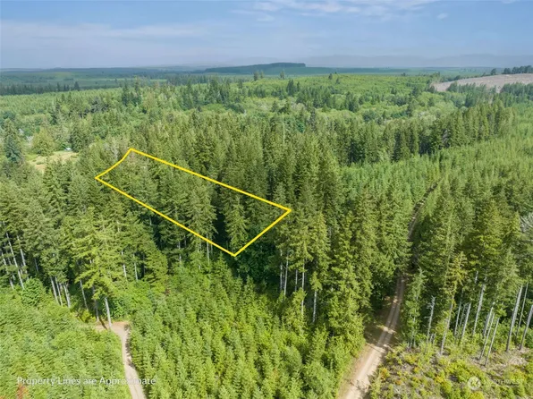 0 x W Cub Drive, Elma, WA 98541