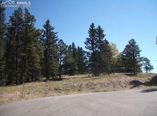 405 Silvermoon Hts, Divide, CO 80814